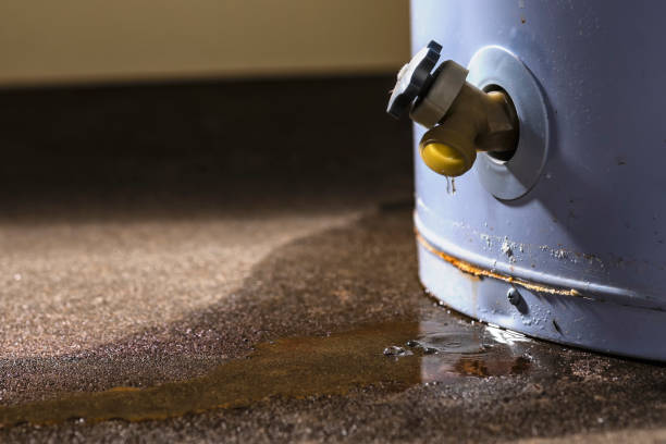 Best 24/7 water damage repair  in New Hope, OR