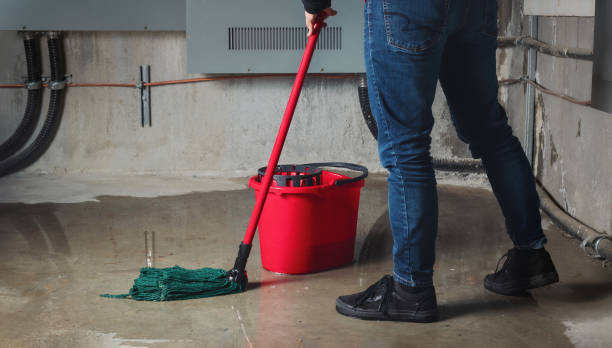 Best 24/7 water damage repair  in New Hope, OR
