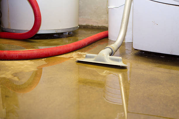 Best Flood restoration services  in New Hope, OR